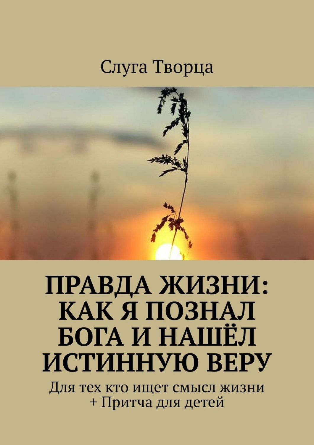 Обложка книги «Правда жизни: как я познал Бога и нашёл истинную веру. Для тех кто ищет смысл жизни + Притча для детей»