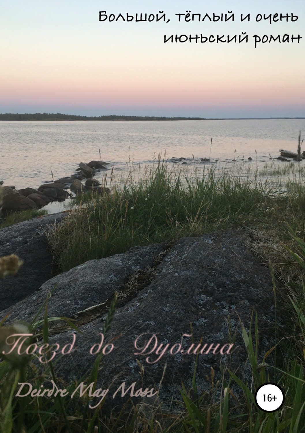 Обложка книги «Поезд до Дублина»