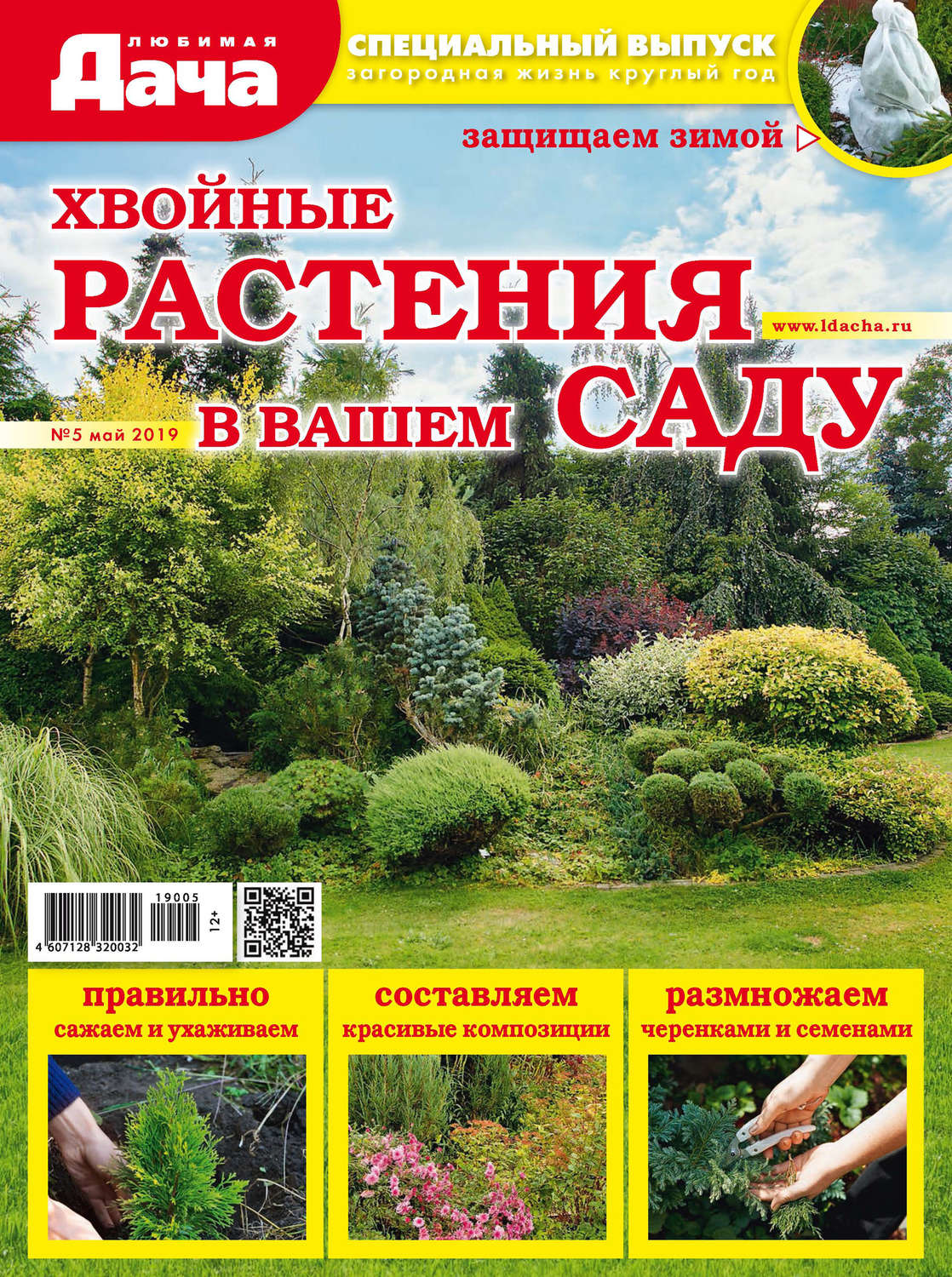 Обложка книги «Любимая дача. Спецвыпуск №05/2019. Хвойные растения в вашем саду»