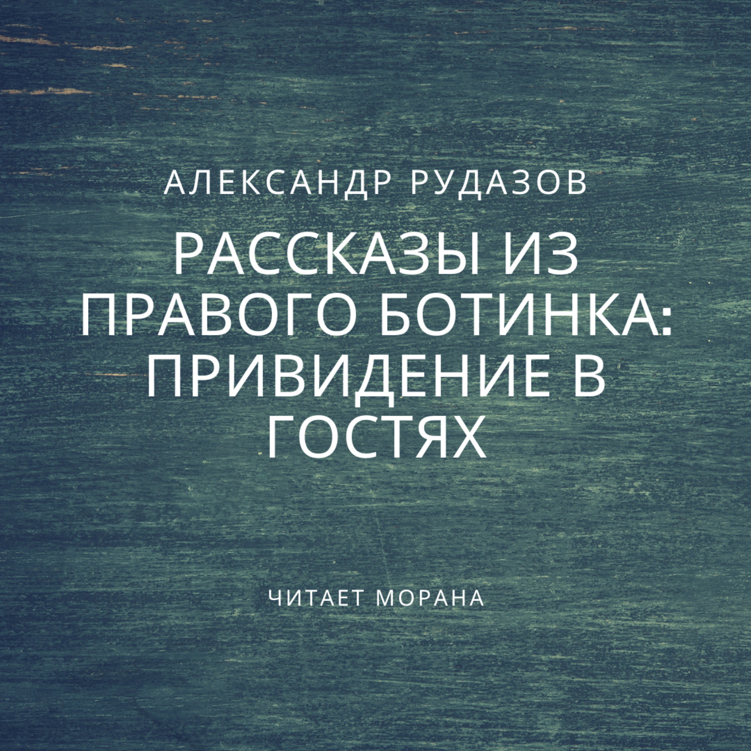 Обложка книги «Привидение в гостях»