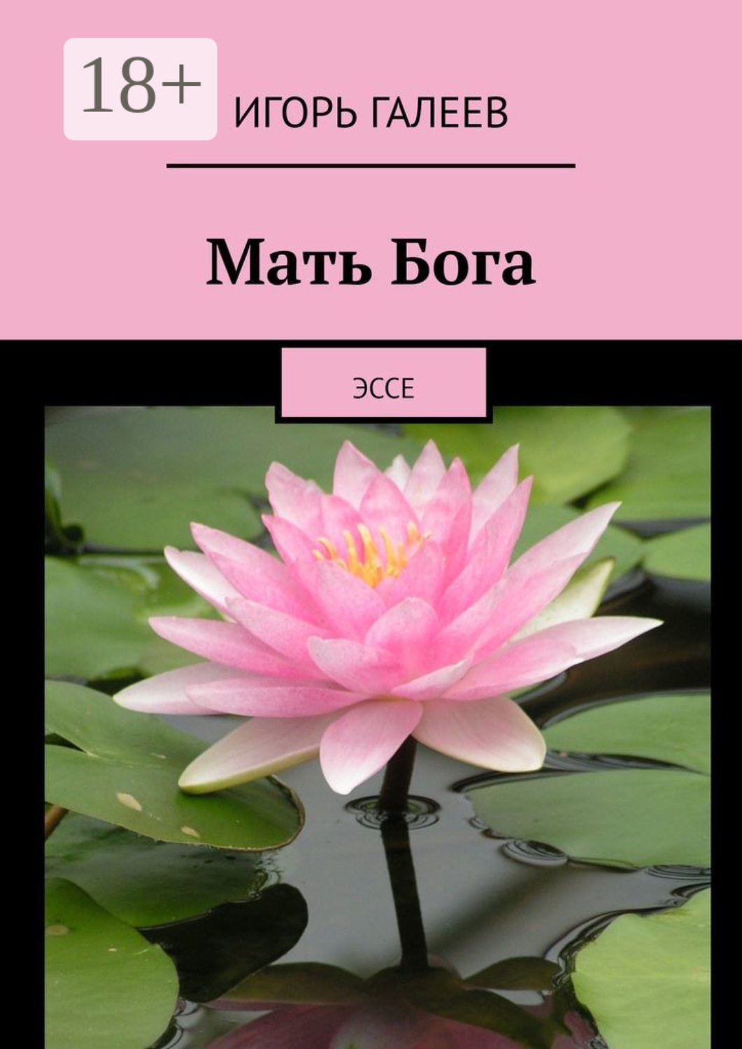 Обложка книги «Мать Бога. Эссе»