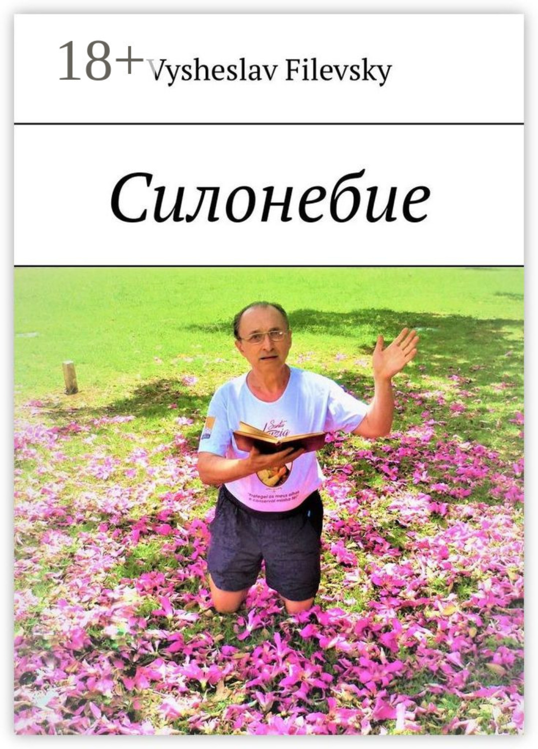 Обложка книги «Силонебие»