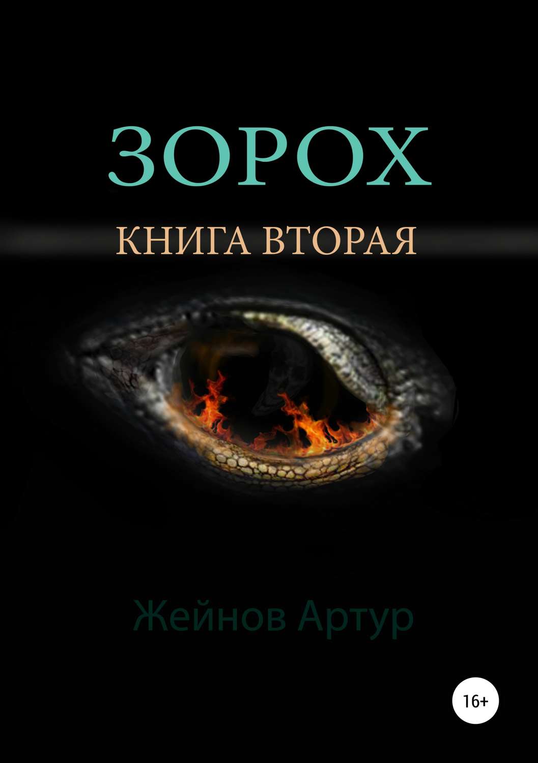 Обложка книги «Зорох»