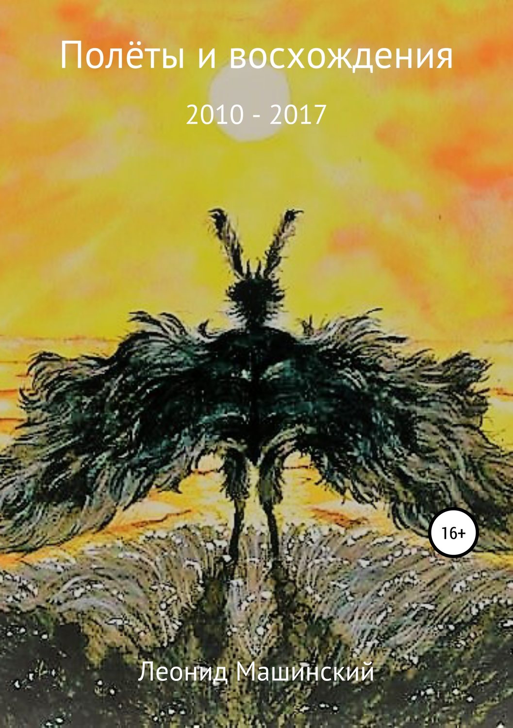 Обложка книги «Полёты и восхождения»