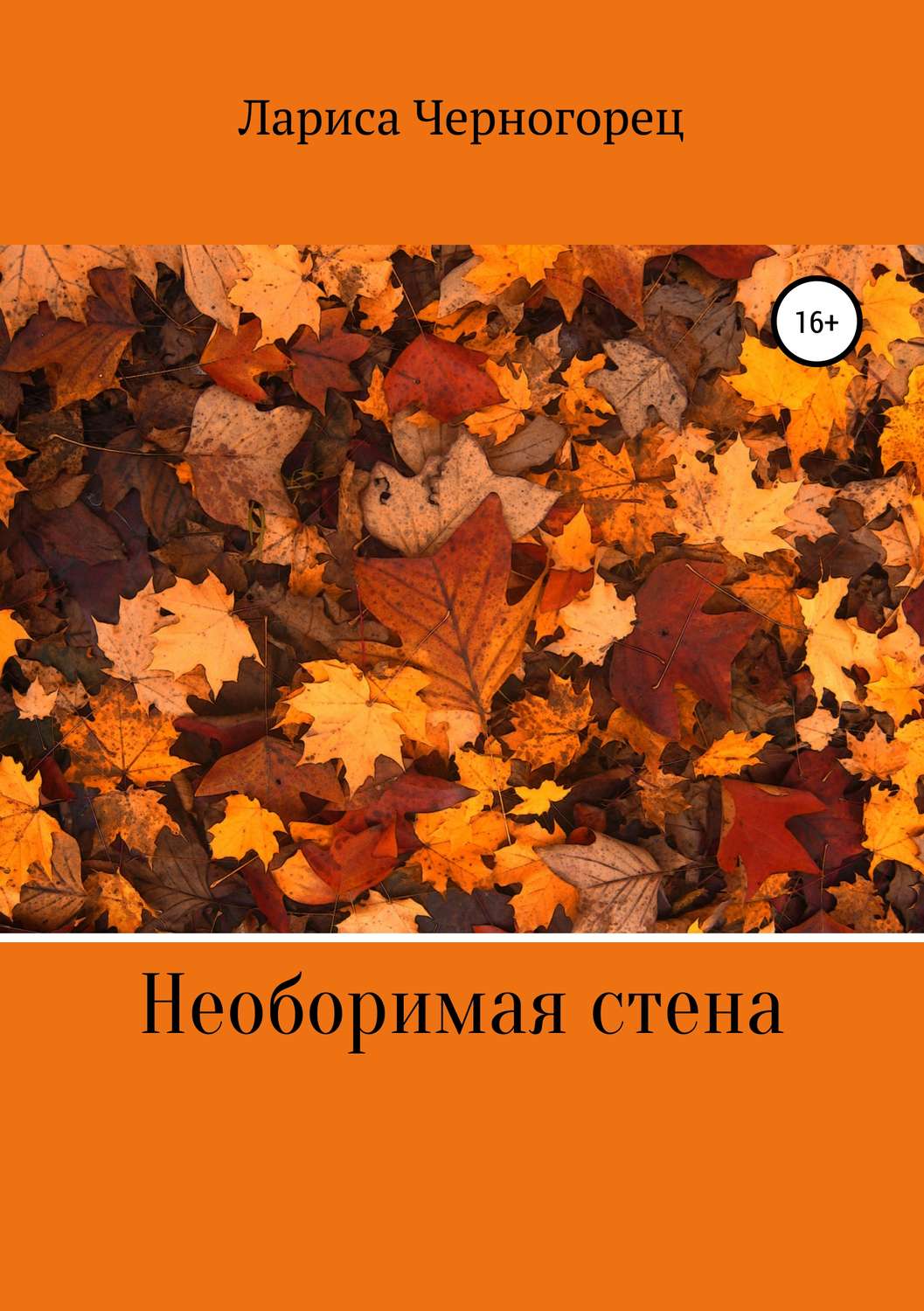 Обложка книги «Необоримая стена»