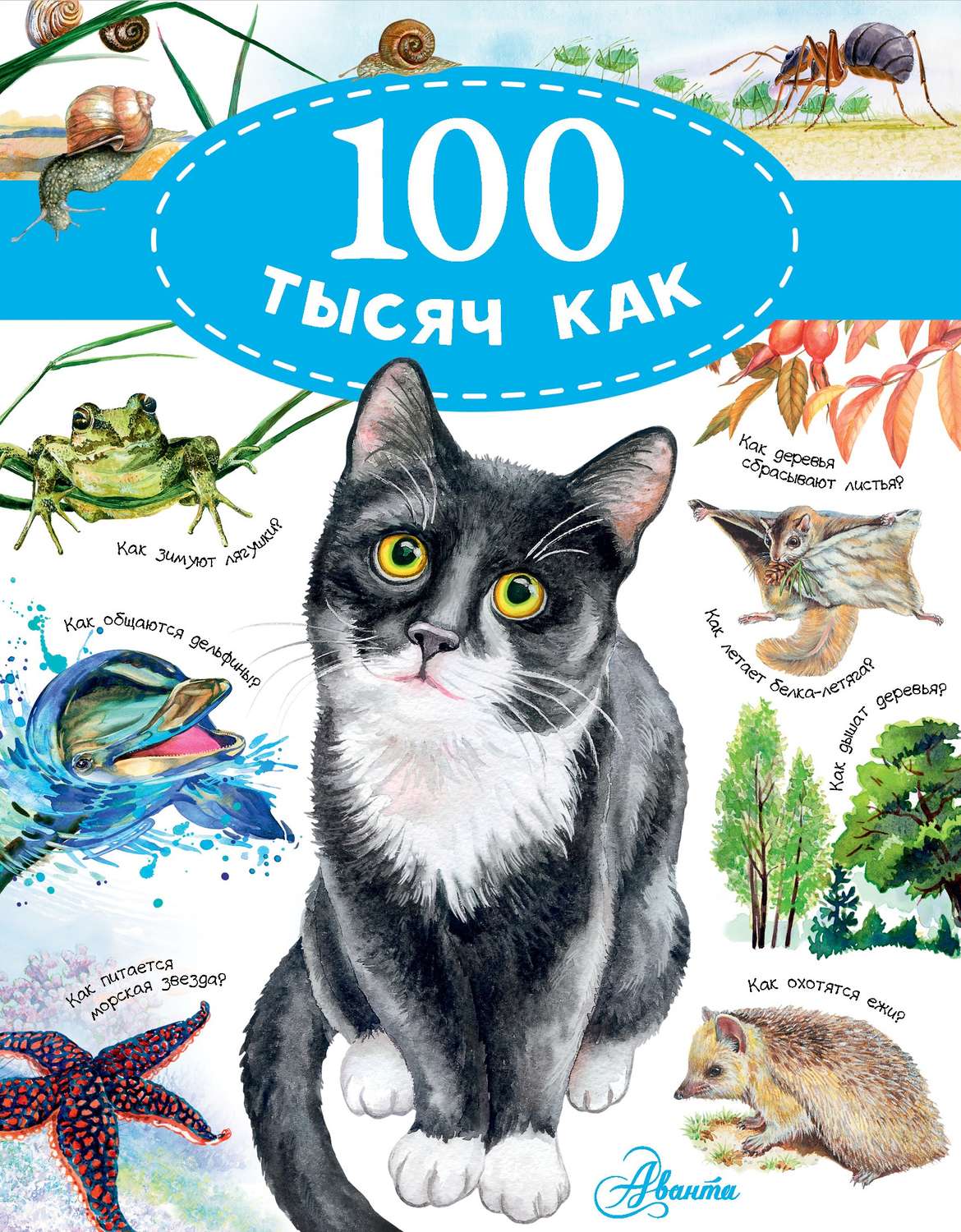 Обложка книги «100 тысяч как»