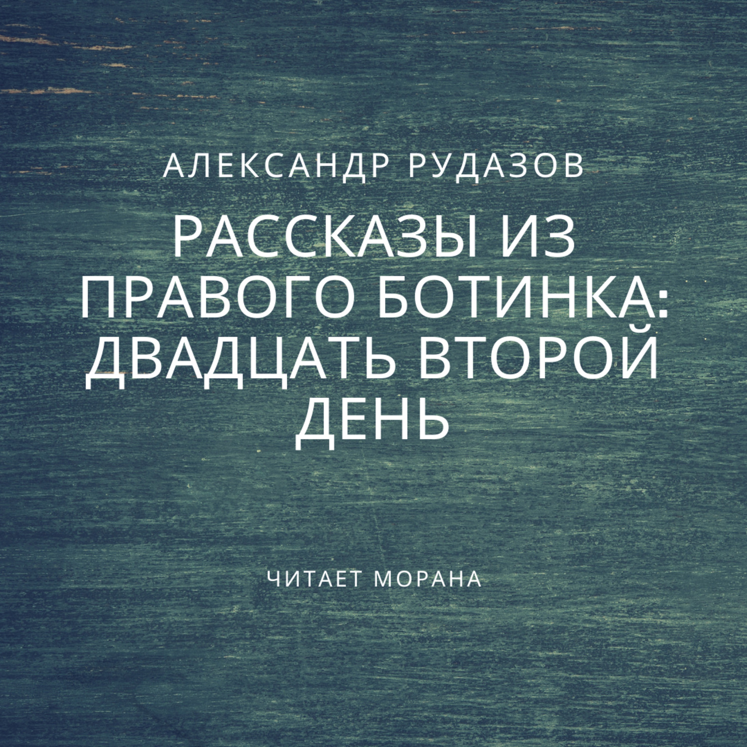 Обложка книги «Двадцать второй день»
