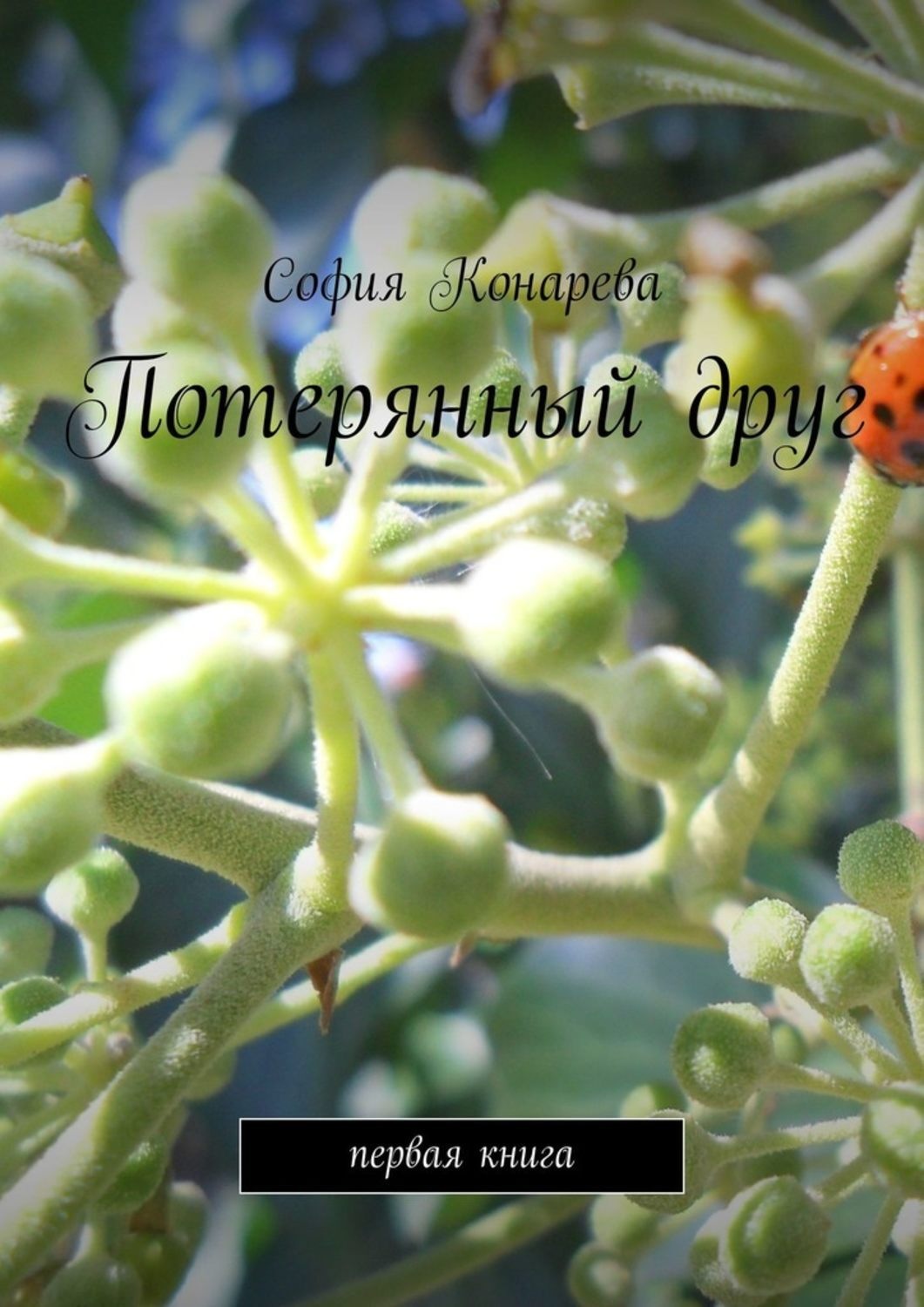 Обложка книги «Потерянный друг. Первая книга»