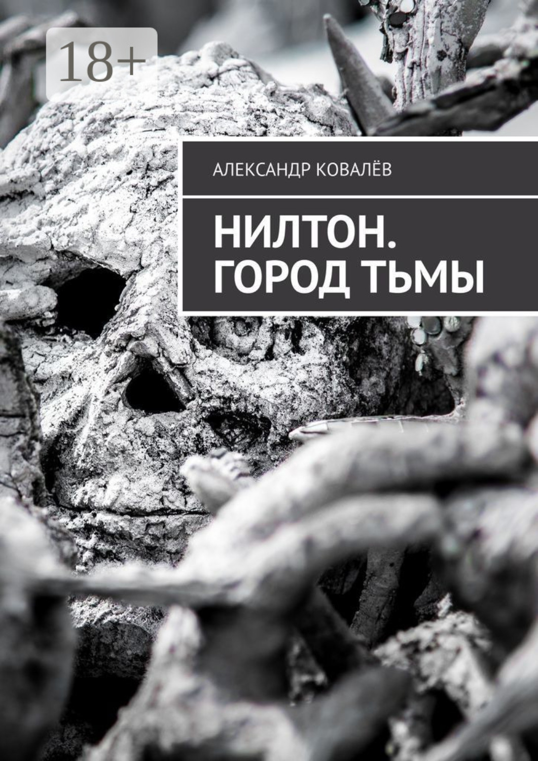Обложка книги «Нилтон. Город тьмы»