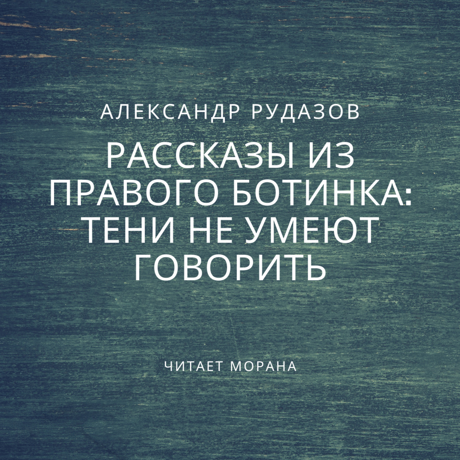 Обложка книги «Тени не умеют говорить»