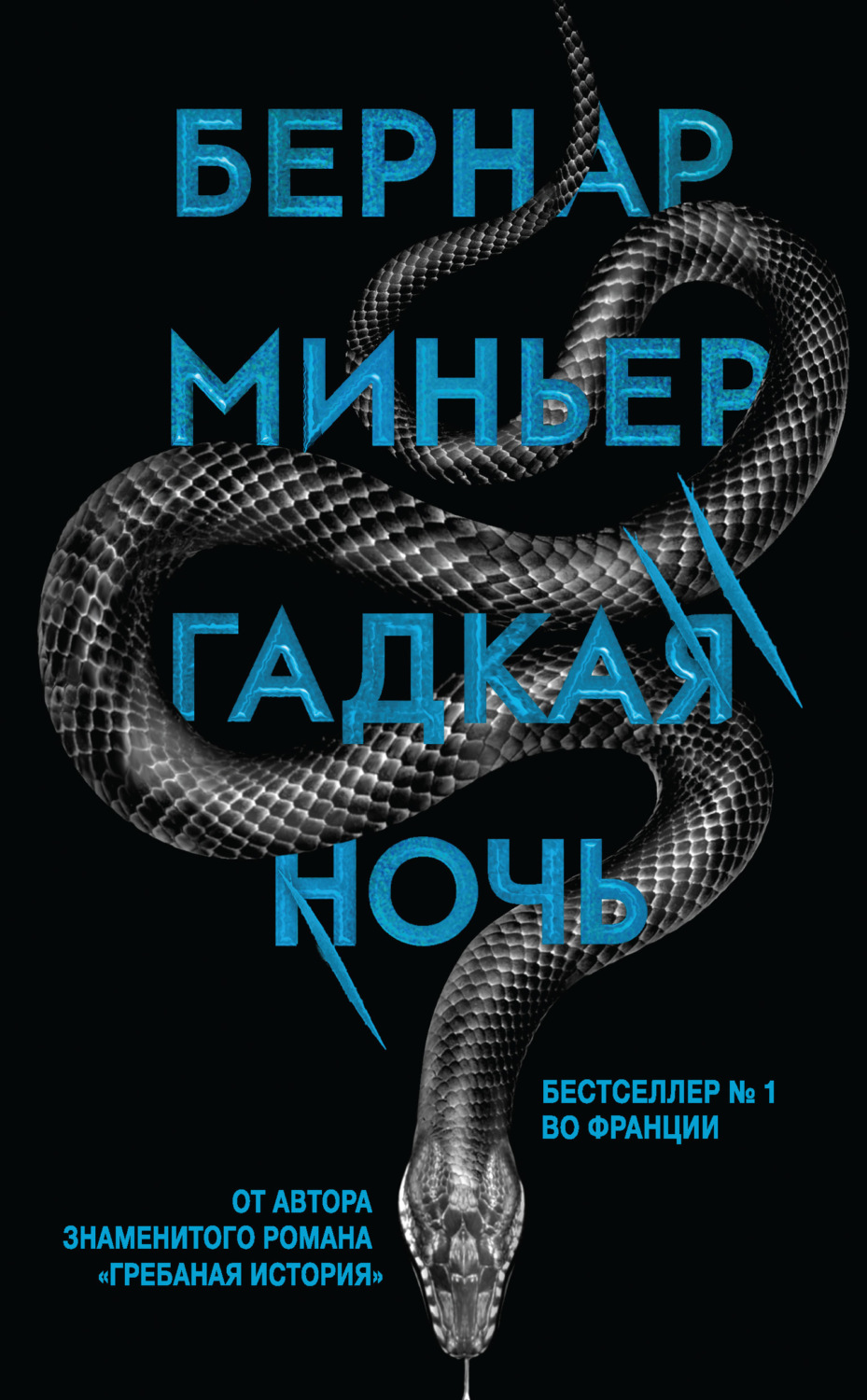 Обложка книги «Гадкая ночь»