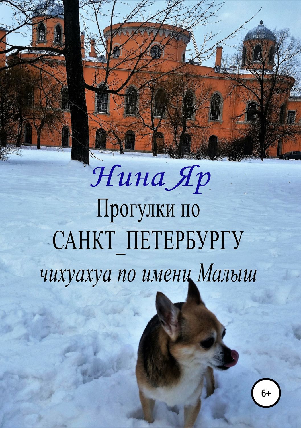 Обложка книги «Прогулки по Санкт-Петербургу»