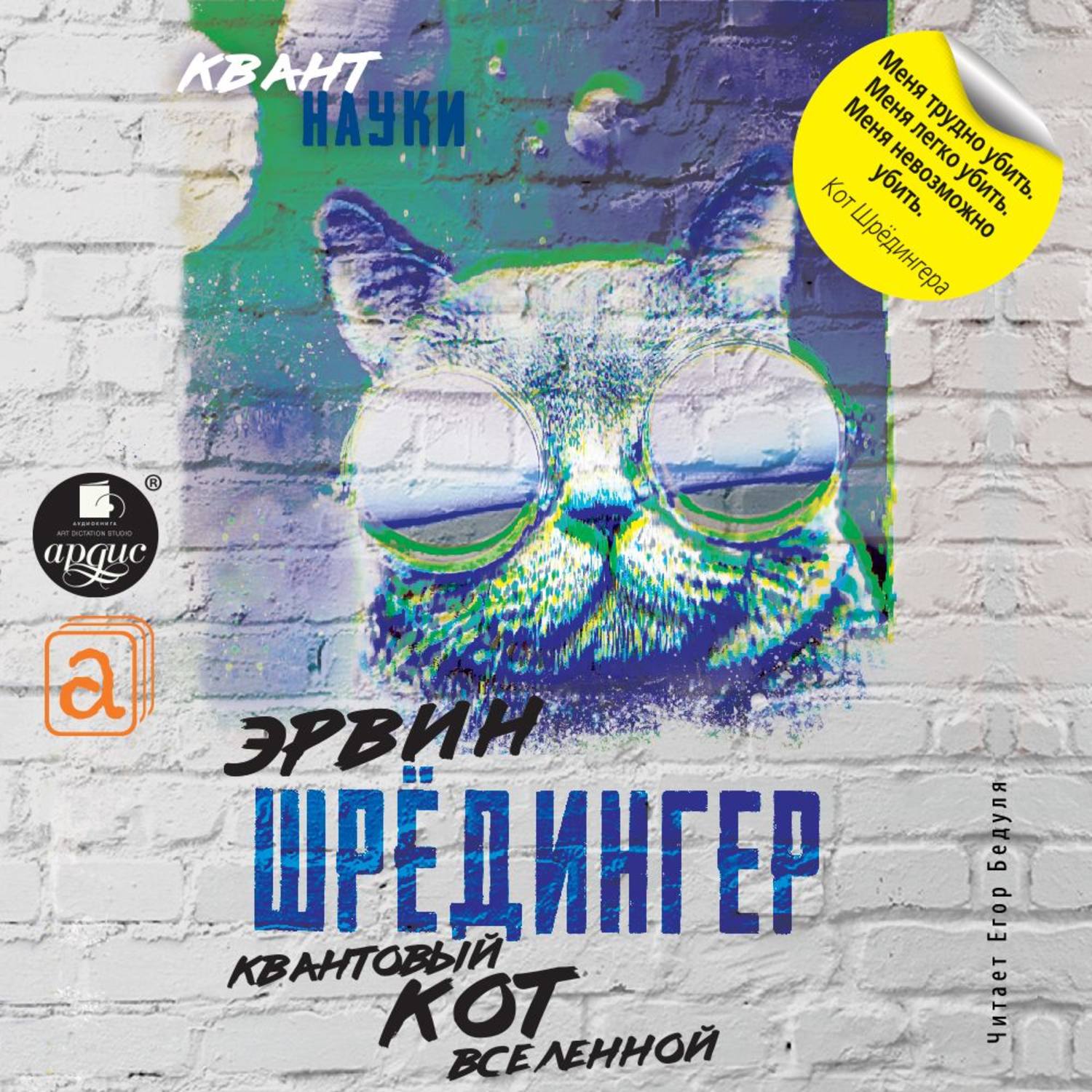 Обложка книги «Квантовый кот вселенной»