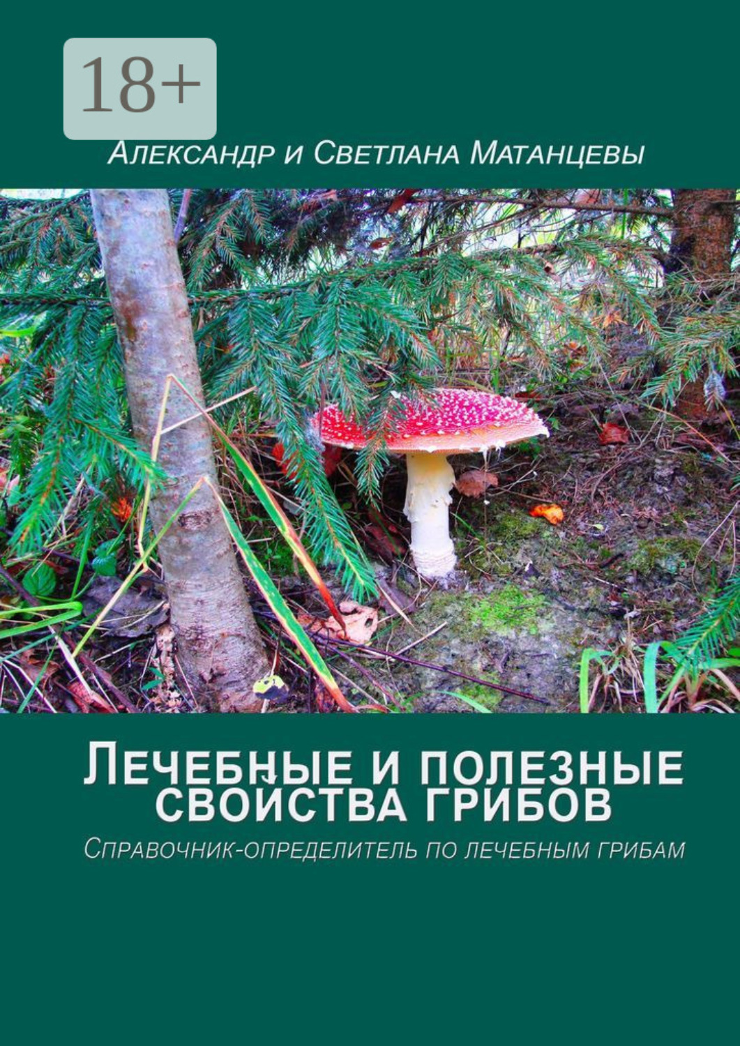 Обложка книги «Лечебные и полезные свойства грибов. Справочник-определитель по лечебным грибам»