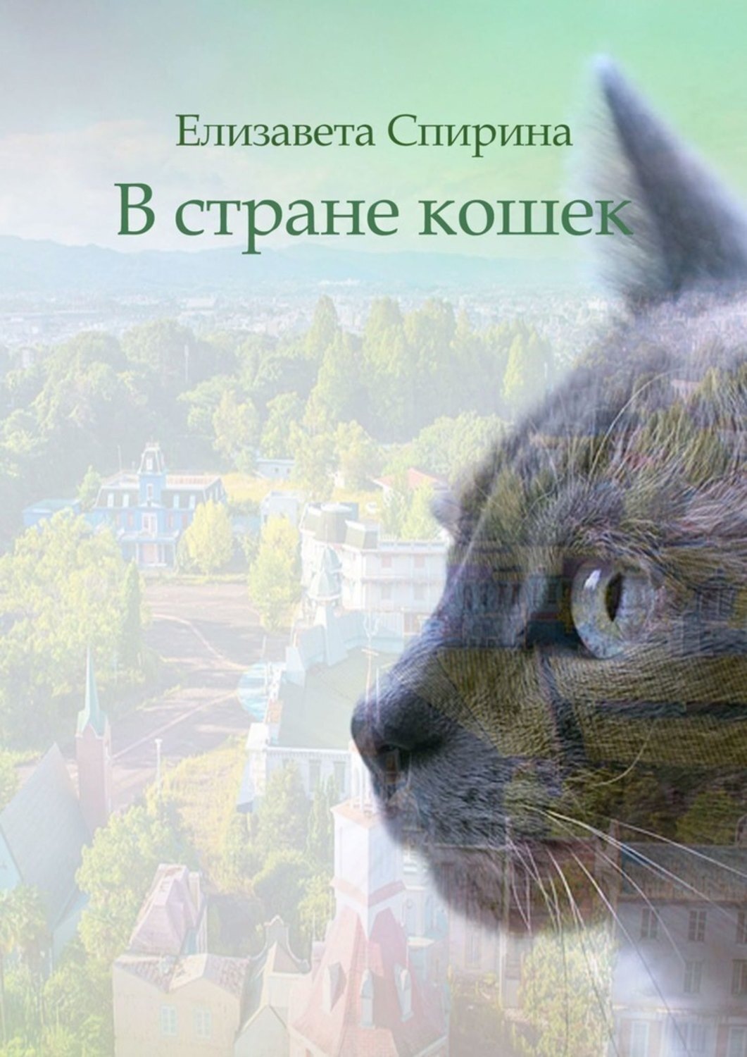 Обложка книги «В стране кошек»