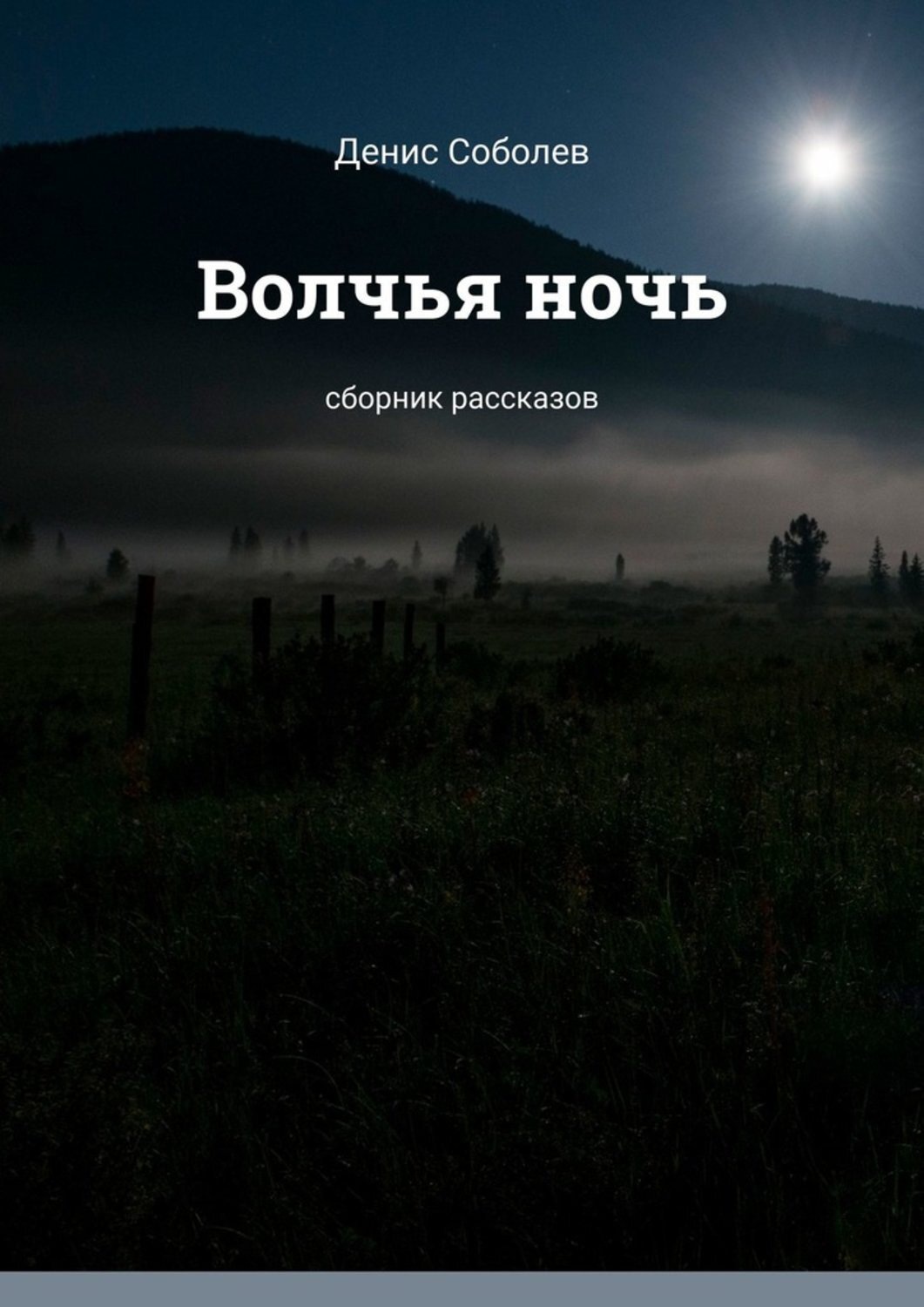 Обложка книги «Волчья ночь. Сборник рассказов»