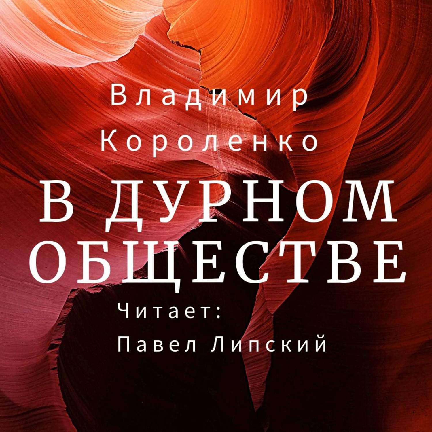 Обложка книги «В дурном обществе»
