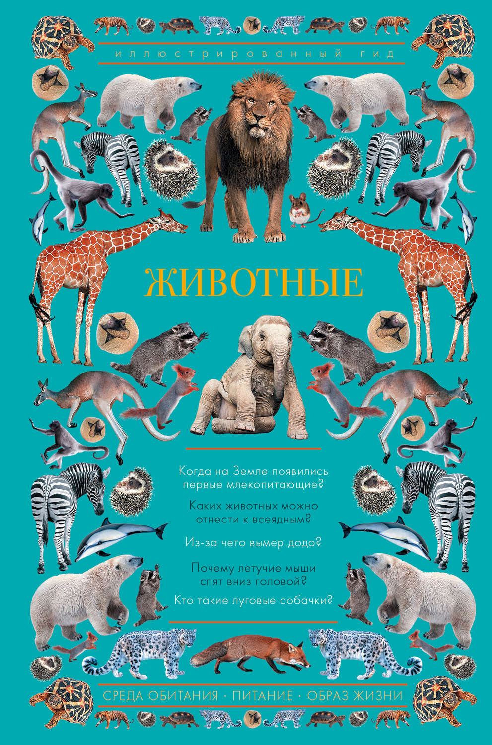 Обложка книги «Животные. Иллюстрированный гид»
