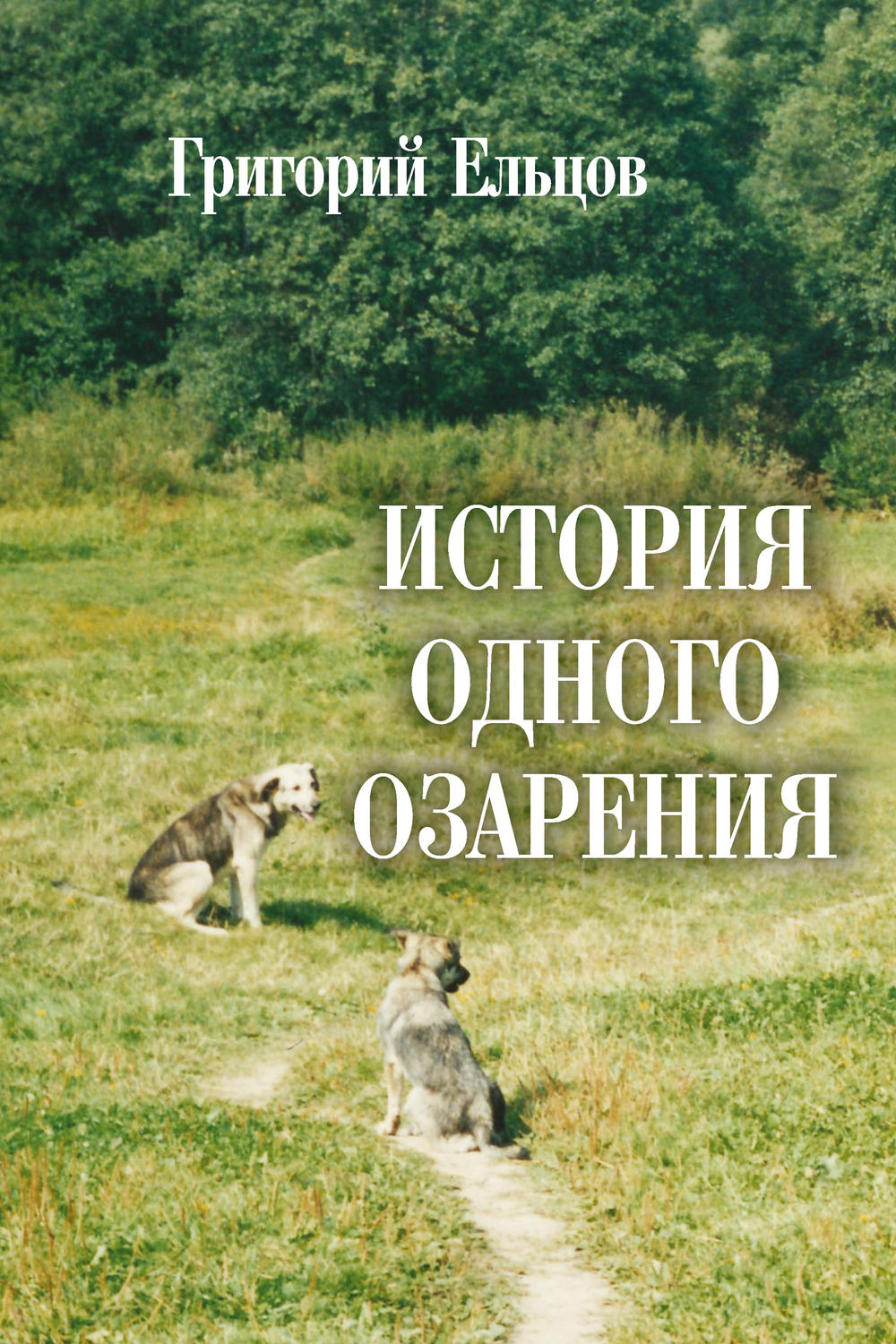 Обложка книги «История одного озарения»