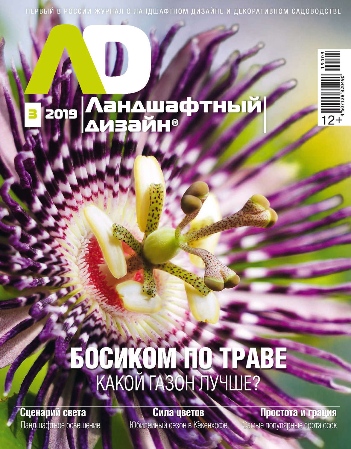 Обложка книги «Ландшафтный дизайн №03/2019»