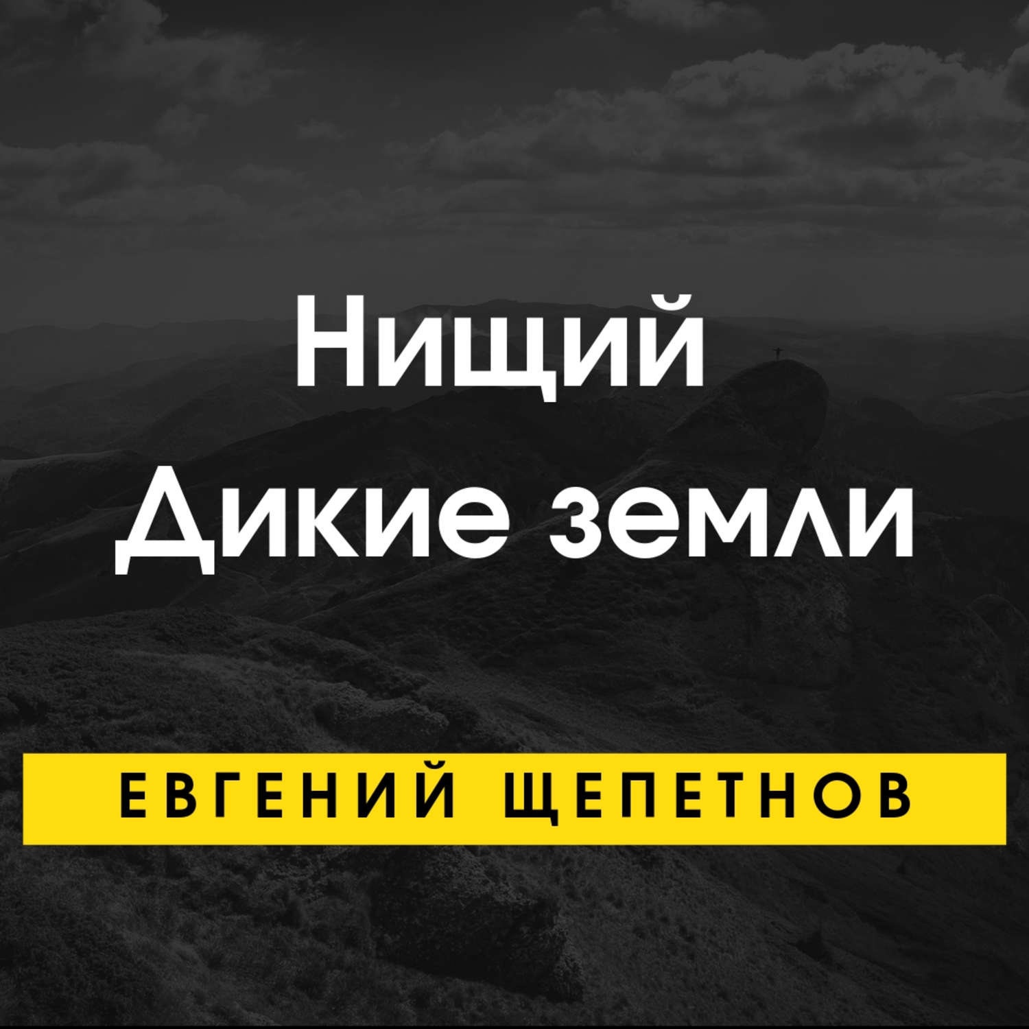 Обложка книги «Нищий. Дикие земли»