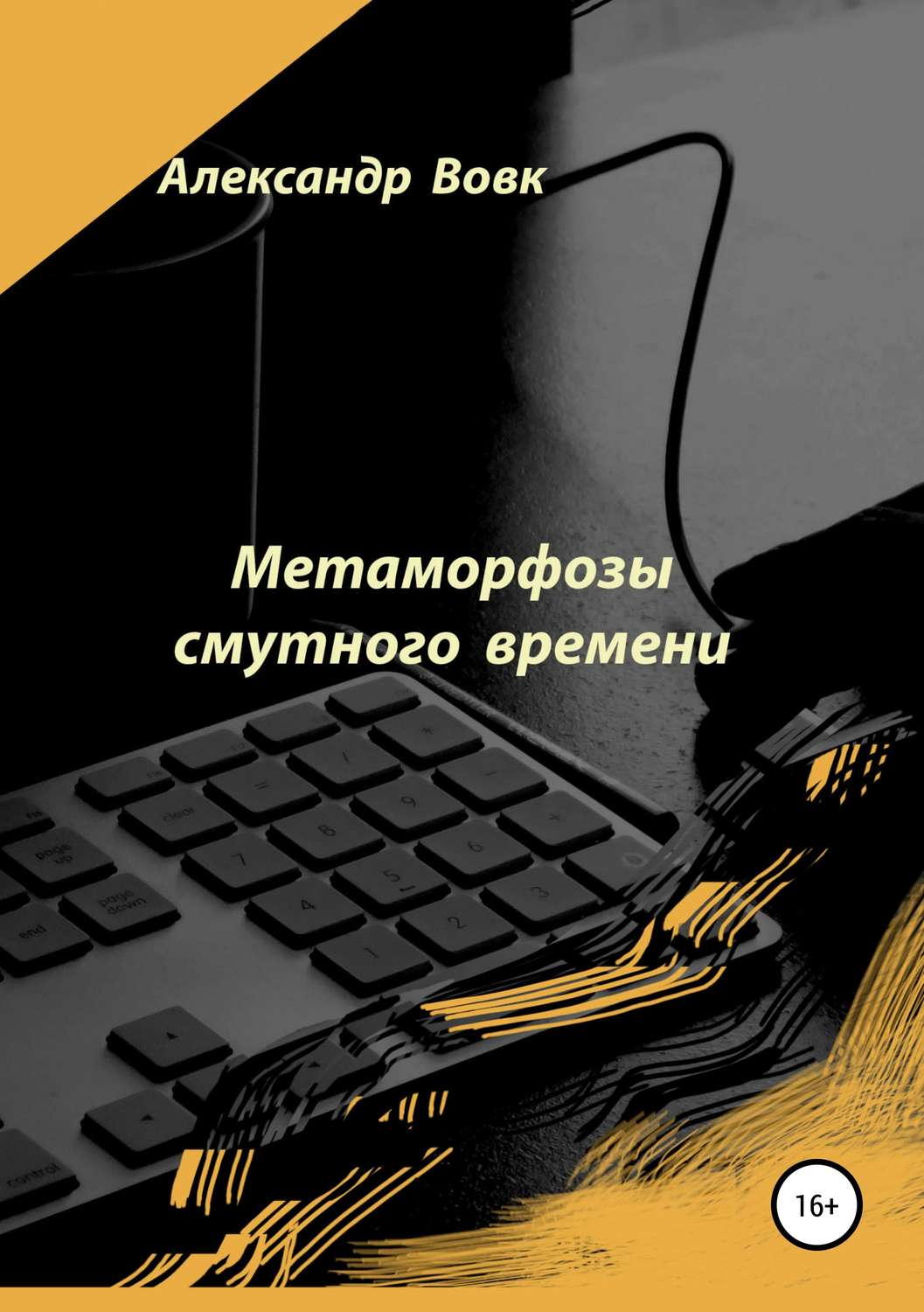 Обложка книги «Метаморфозы смутного времени»