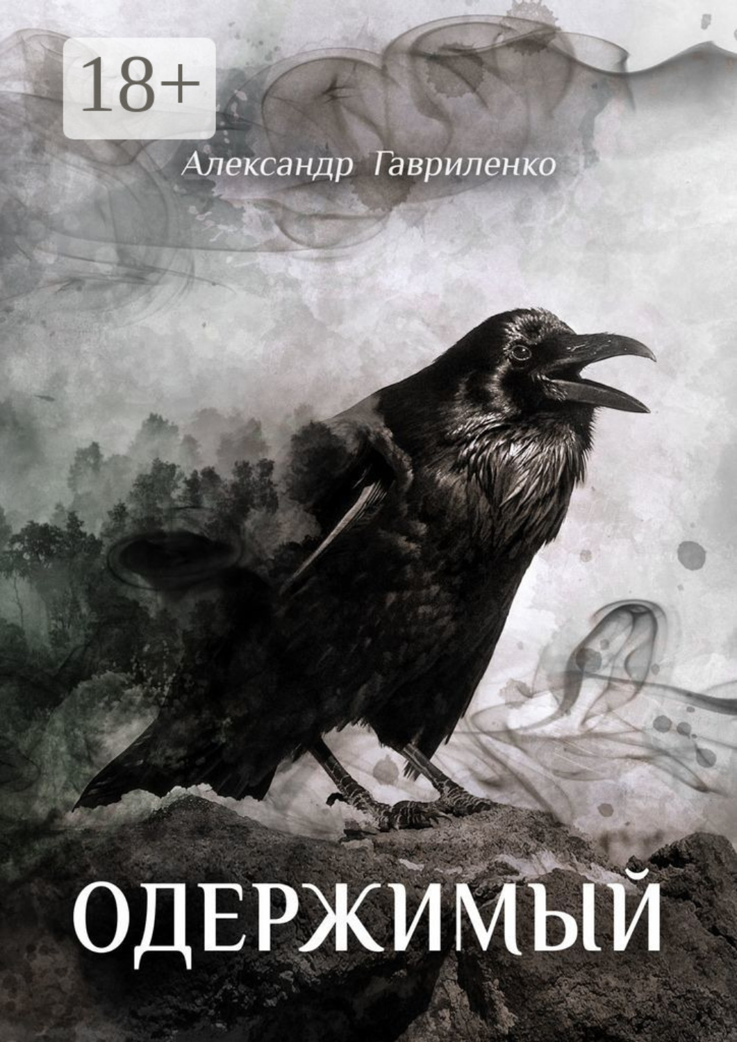Обложка книги «Одержимый»