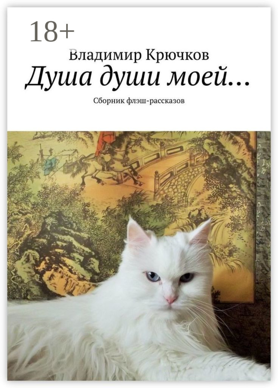 Обложка книги «Душа души моей… Сборник флэш-рассказов»