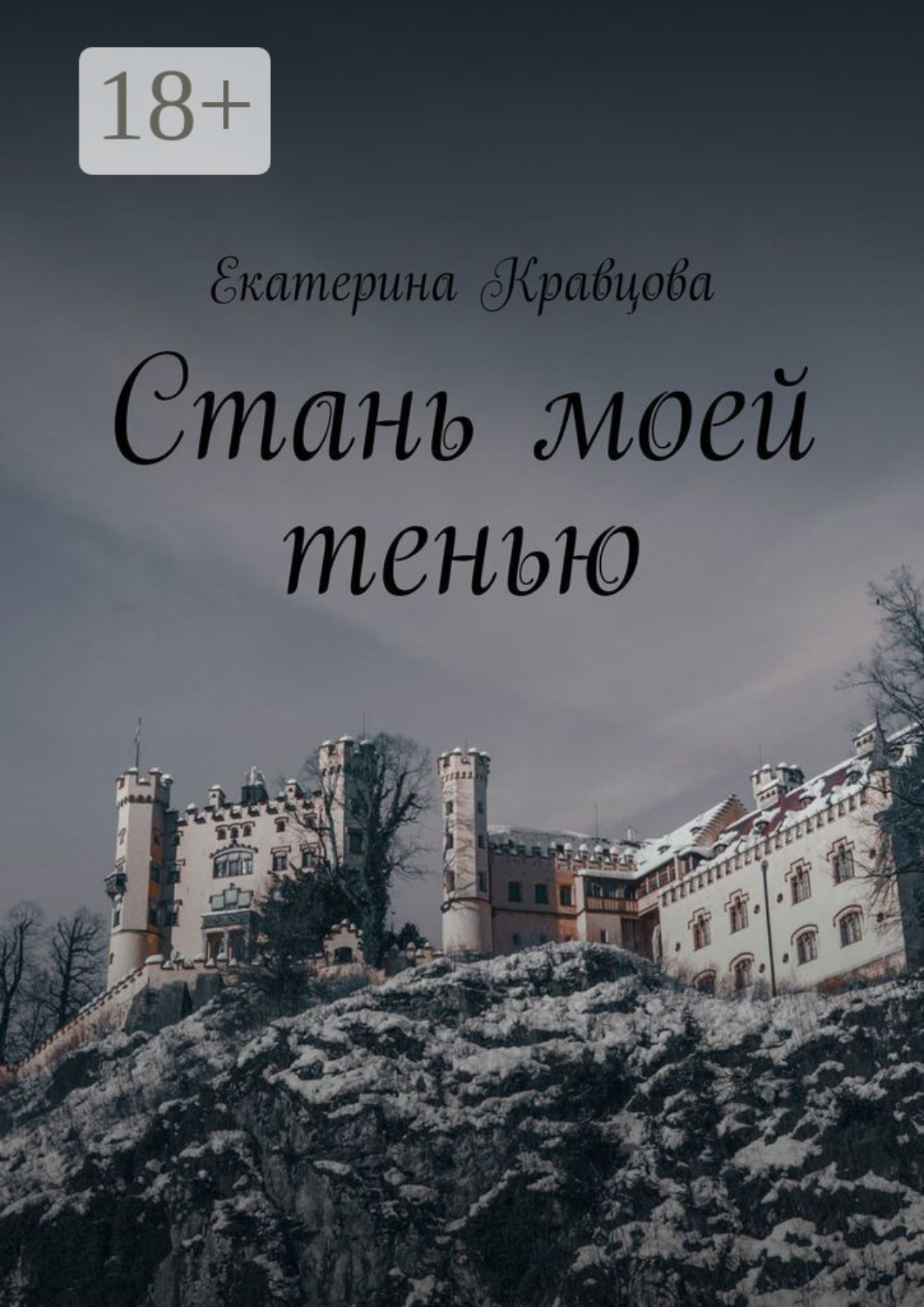 Обложка книги «Стань моей тенью»