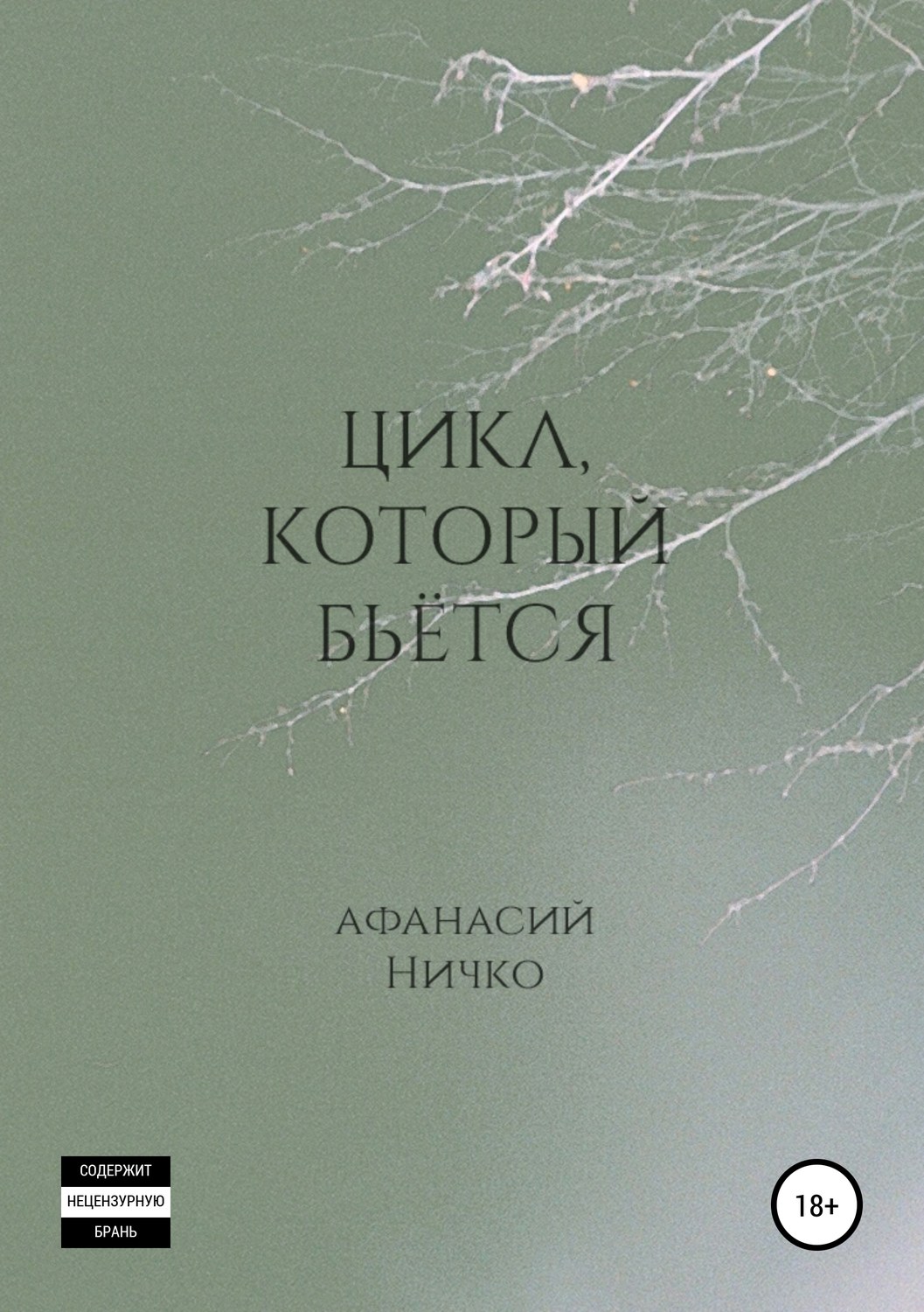 Обложка книги «Цикл, который бьётся»