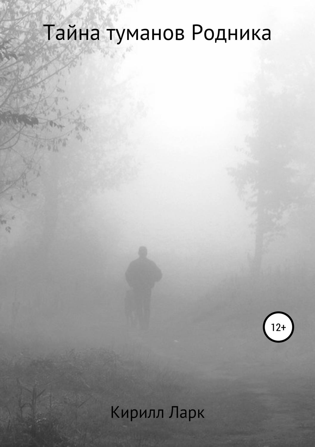 Обложка книги «Тайна Туманов Родника»
