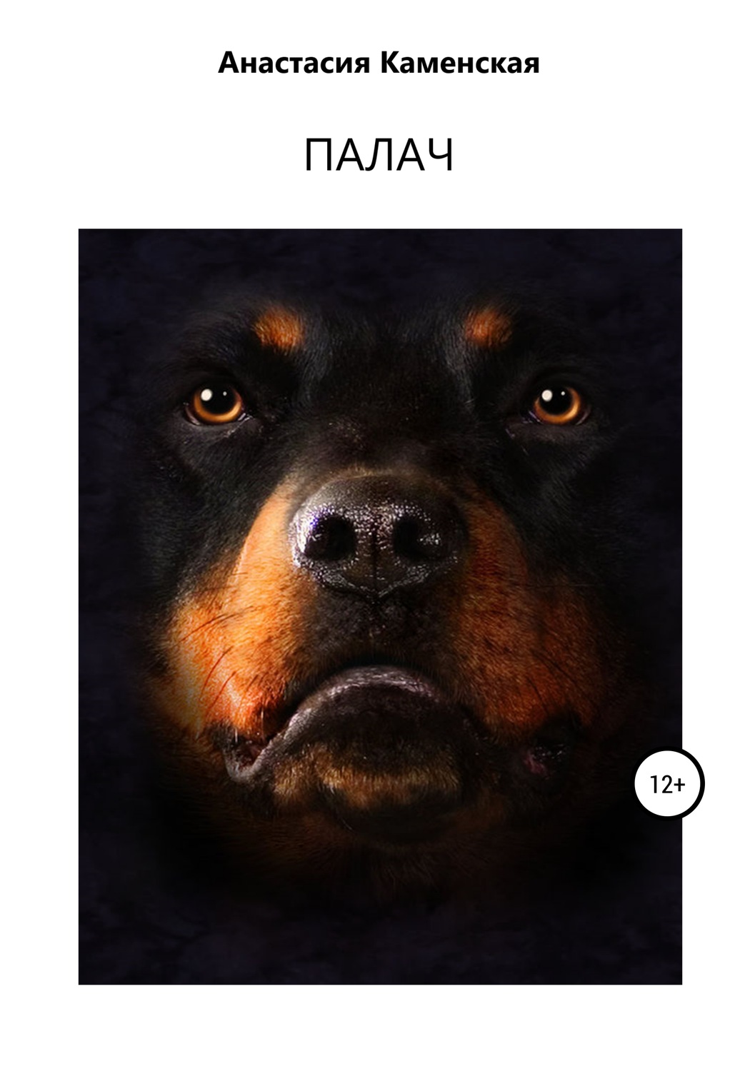 Обложка книги «Палач»