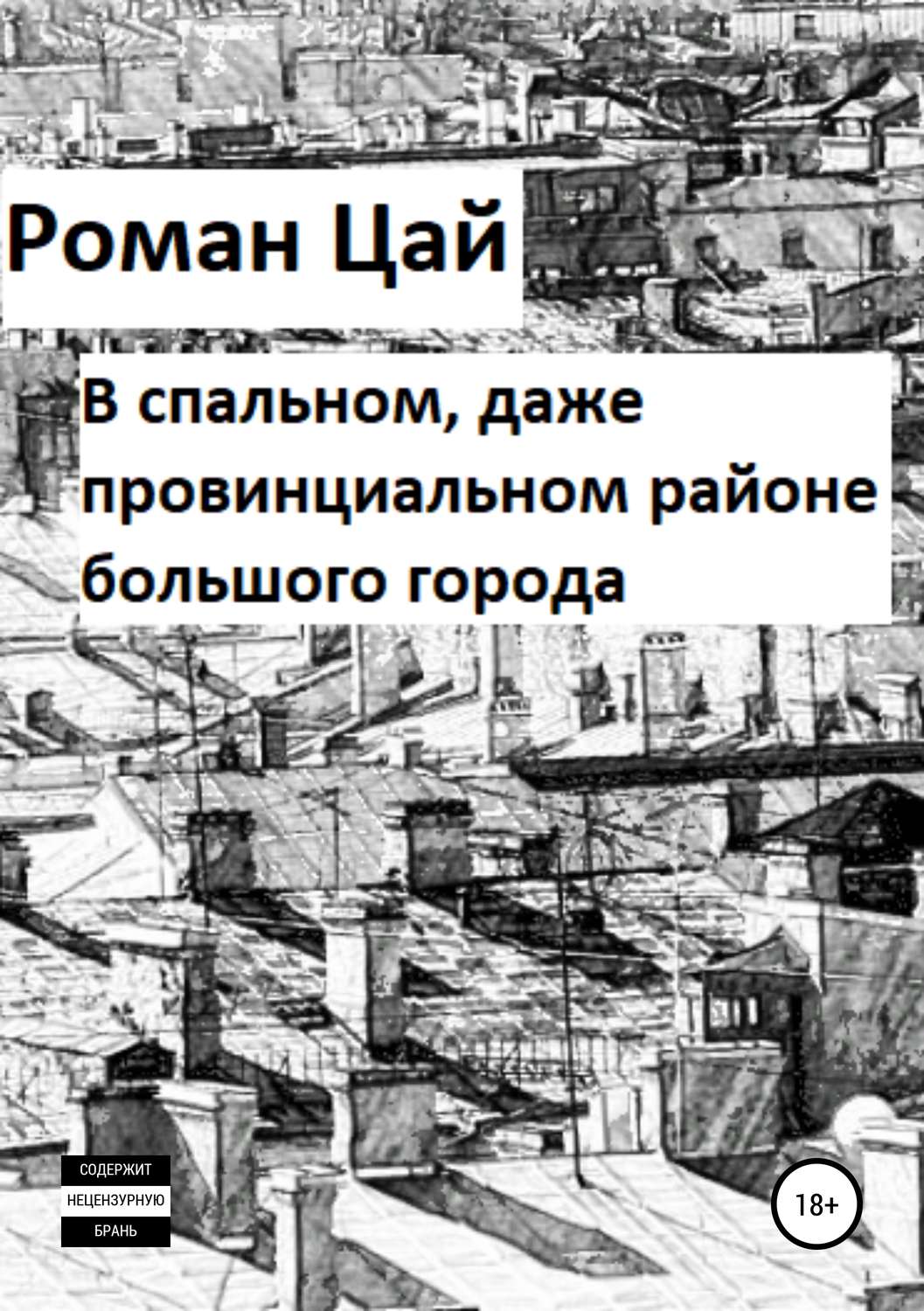 Обложка книги «В спальном, даже провинциальном районе большого города»