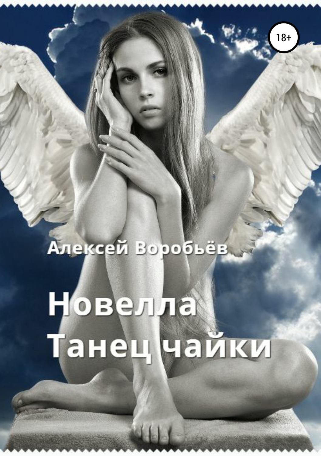 Обложка книги «Танец чайки»