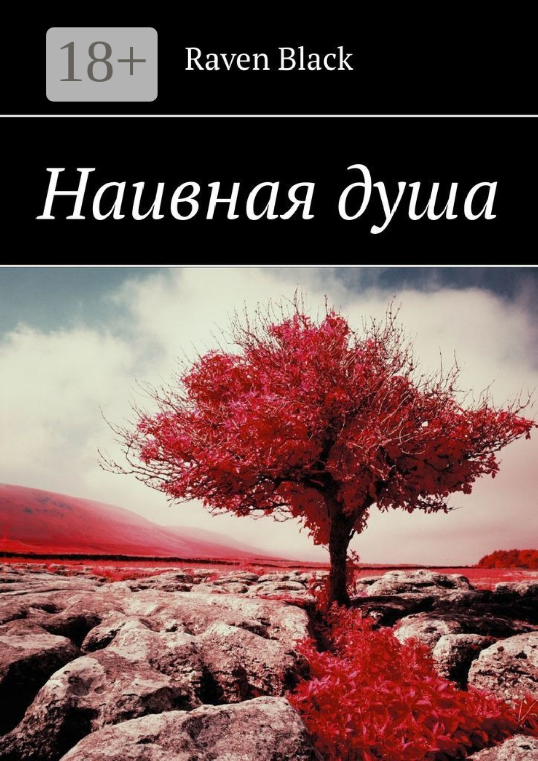 Обложка книги «Наивная душа»