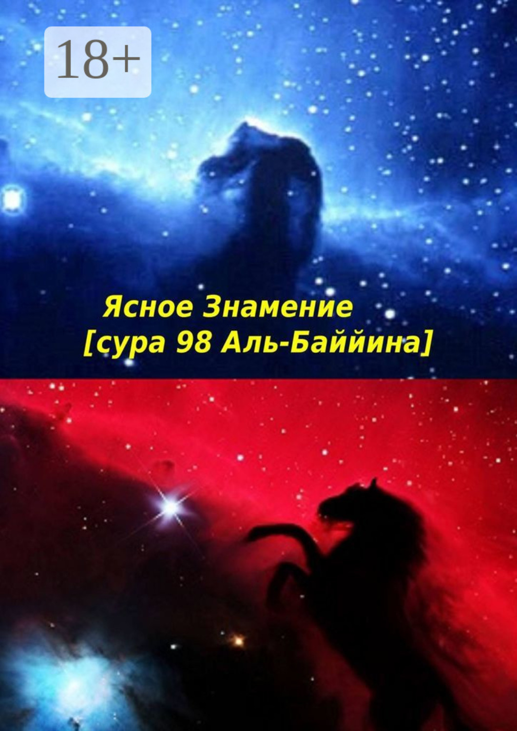 Обложка книги «Ясное Знамение [сура 98 Аль-Баййина]. Идите и терпите за своих Богов. Истина – это то, что от нас желают?»