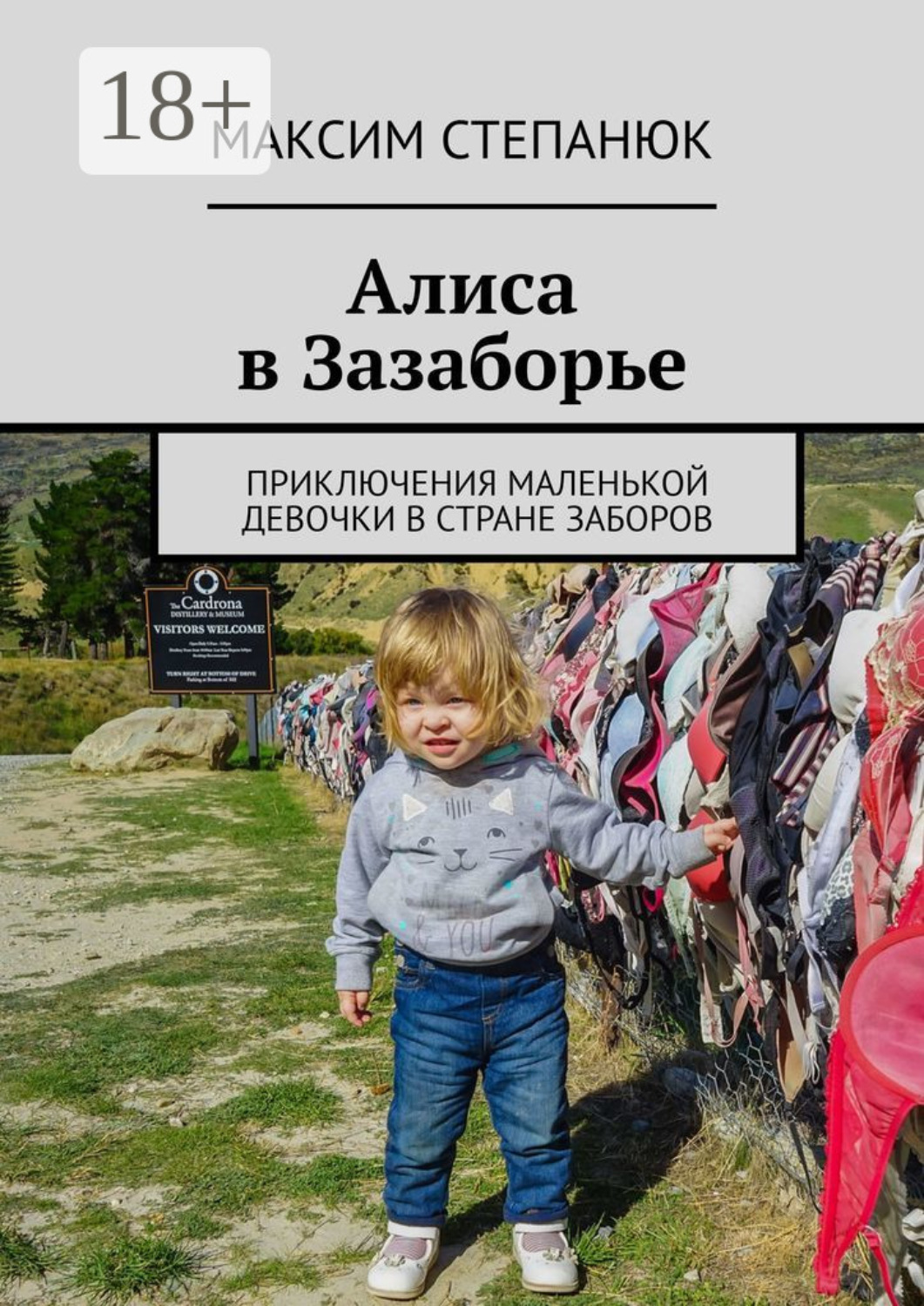 Обложка книги «Алиса в Зазаборье. Приключения маленькой девочки в стране заборов»