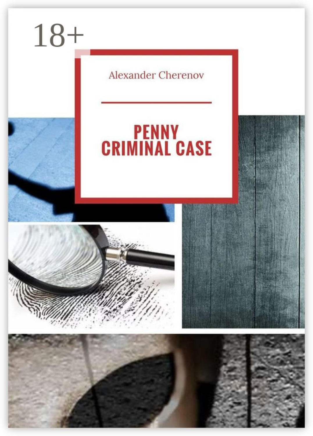 Обложка книги «Penny Criminal Case»