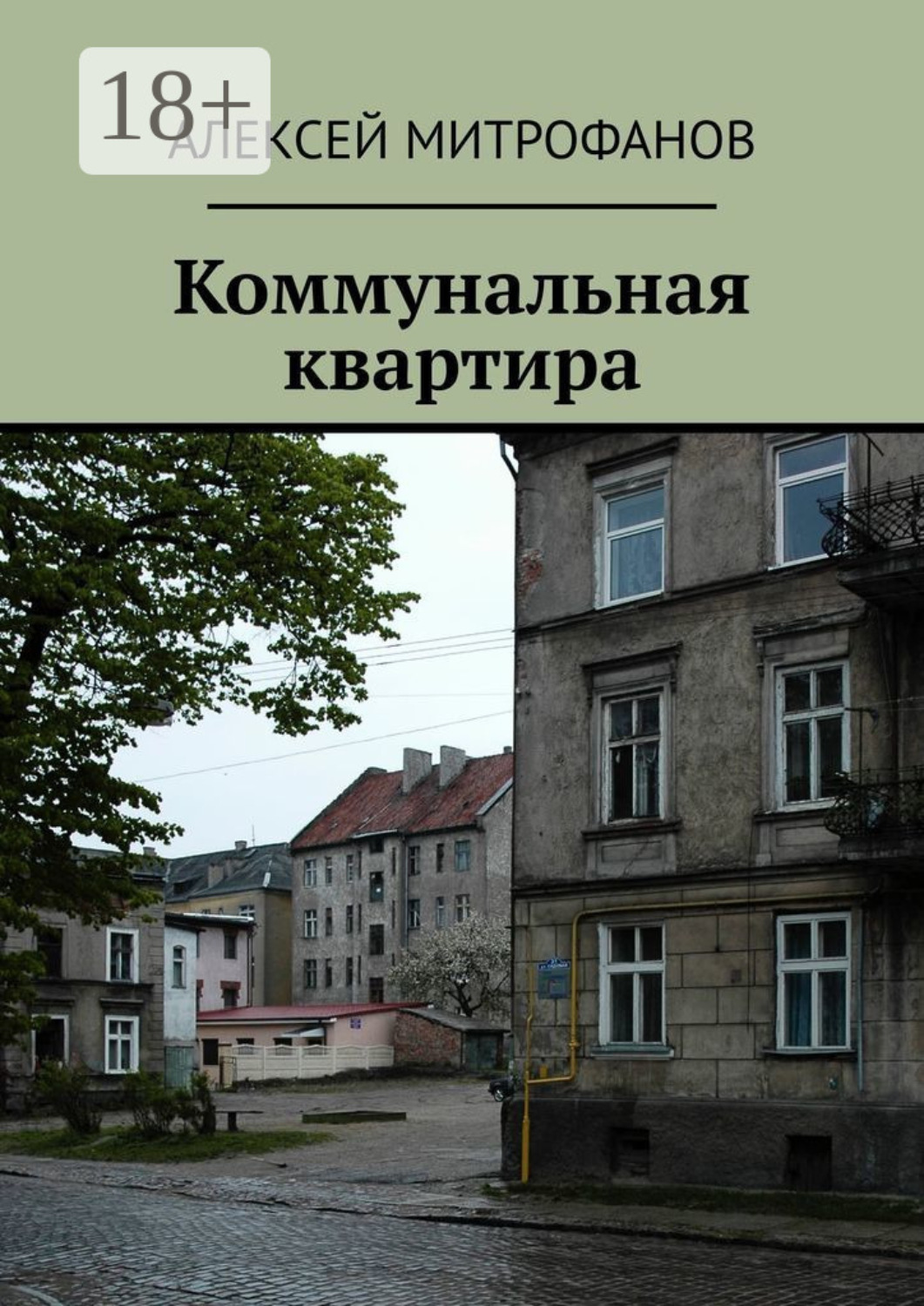Обложка книги «Коммунальная квартира»