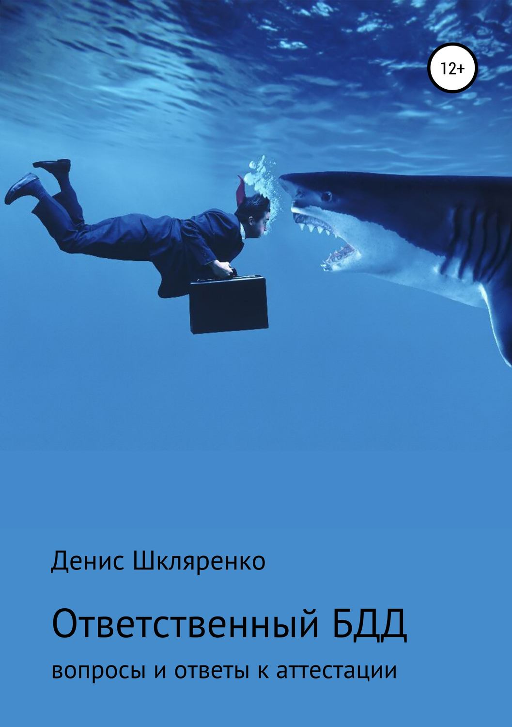 Обложка книги «ВОПРОСЫ И ОТВЕТЫ – АТТЕСТАЦИЯ ОТВЕТСТВЕННОГО ПО БЕЗОПАСНОСТИ ДОРОЖНОГО ДВИЖЕНИЯ»