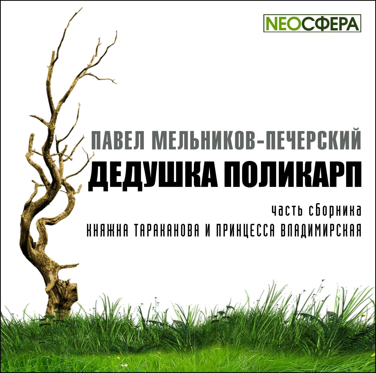 Обложка книги «Дедушка Поликарп»