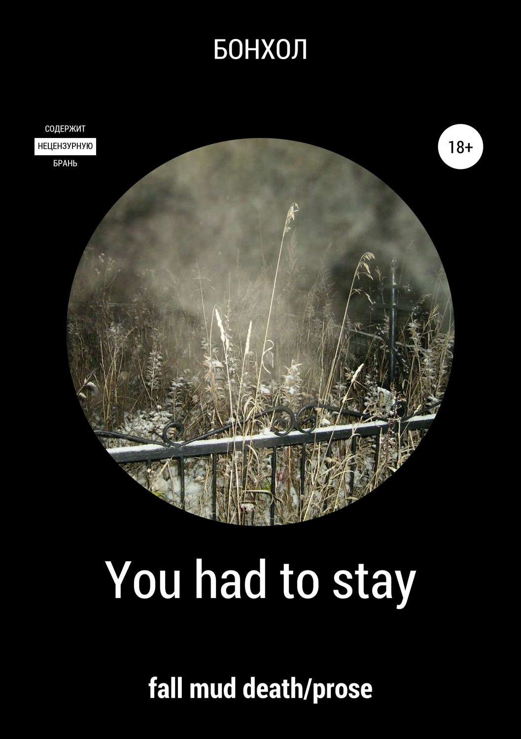 Обложка книги «You had to stay»