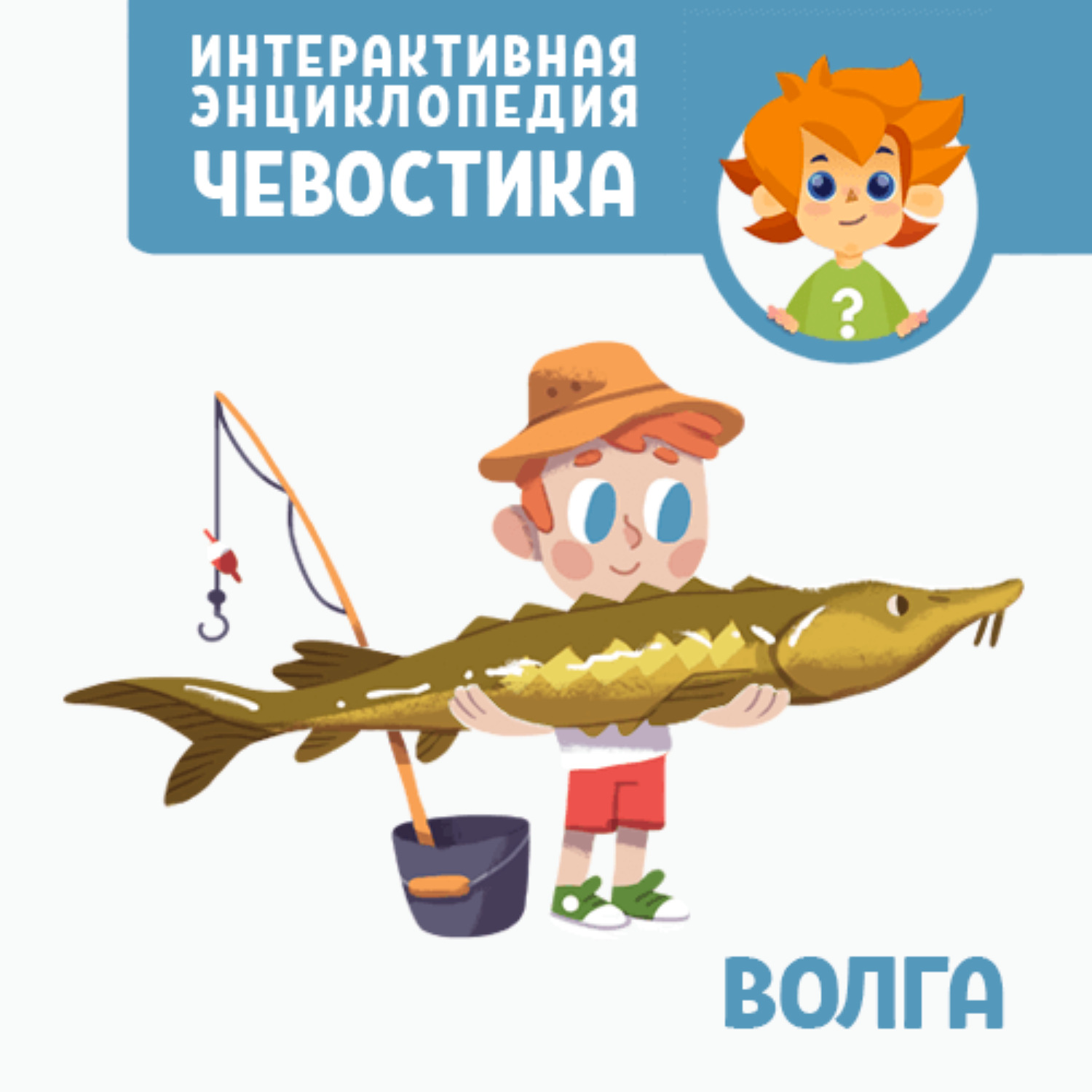 Обложка книги «Волга»