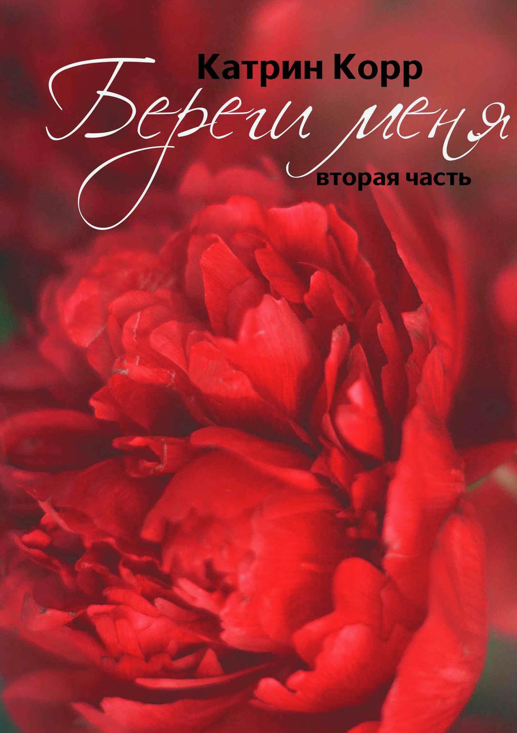 Обложка книги «Береги меня»