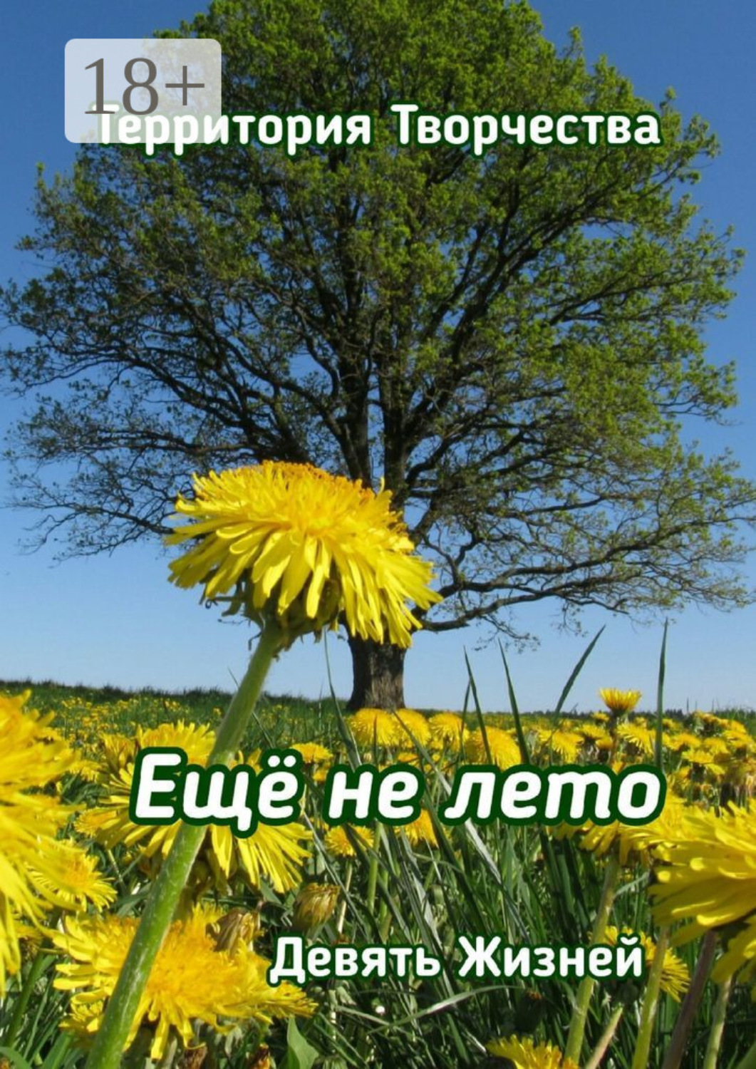 Обложка книги «Ещё не лето. Девять Жизней»