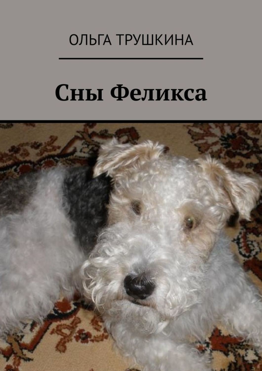 Обложка книги «Сны Феликса»