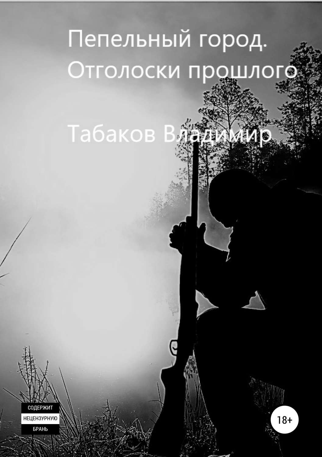 Обложка книги «Пепельный город. Отголоски прошлого»