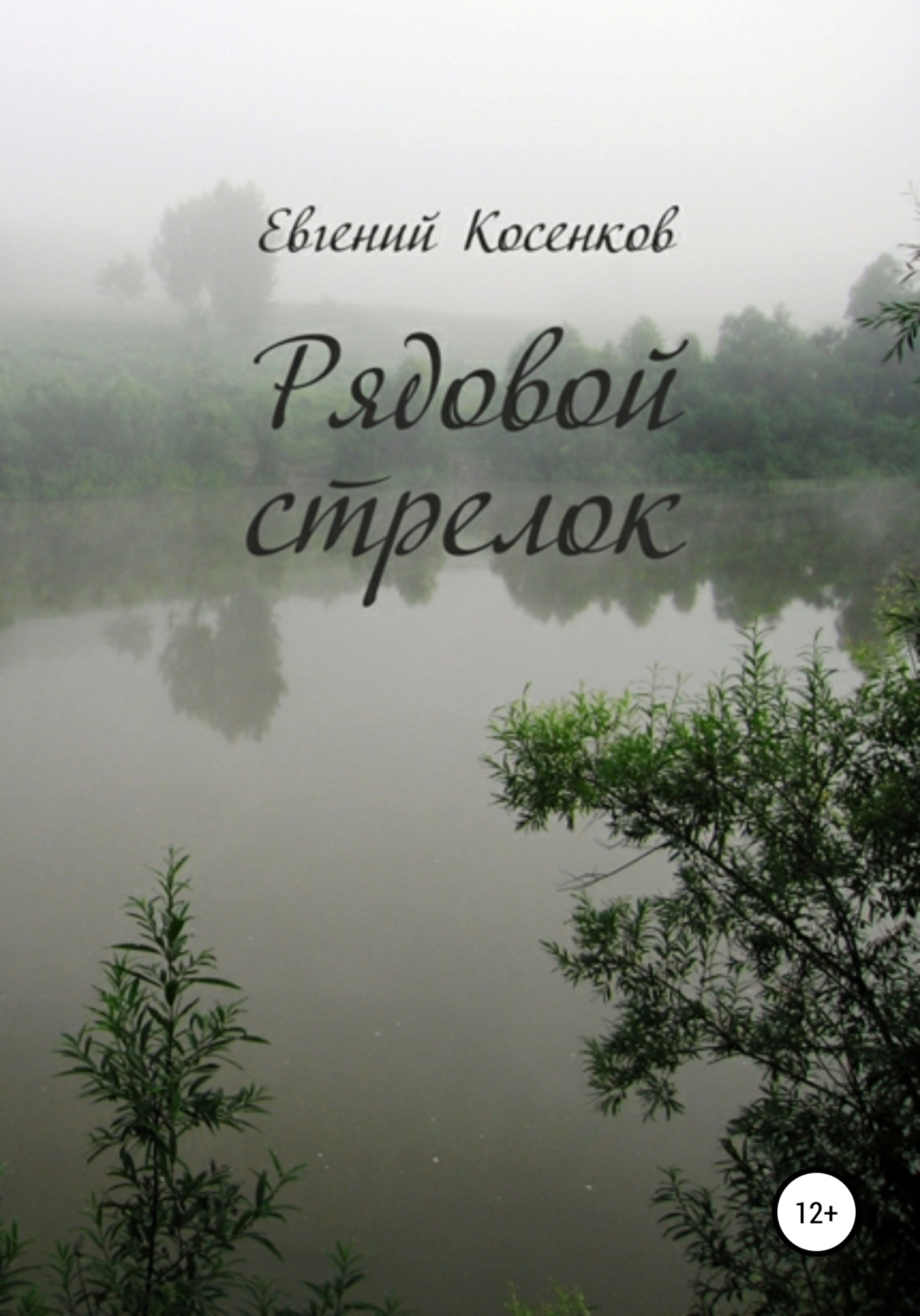 Обложка книги «Рядовой стрелок»
