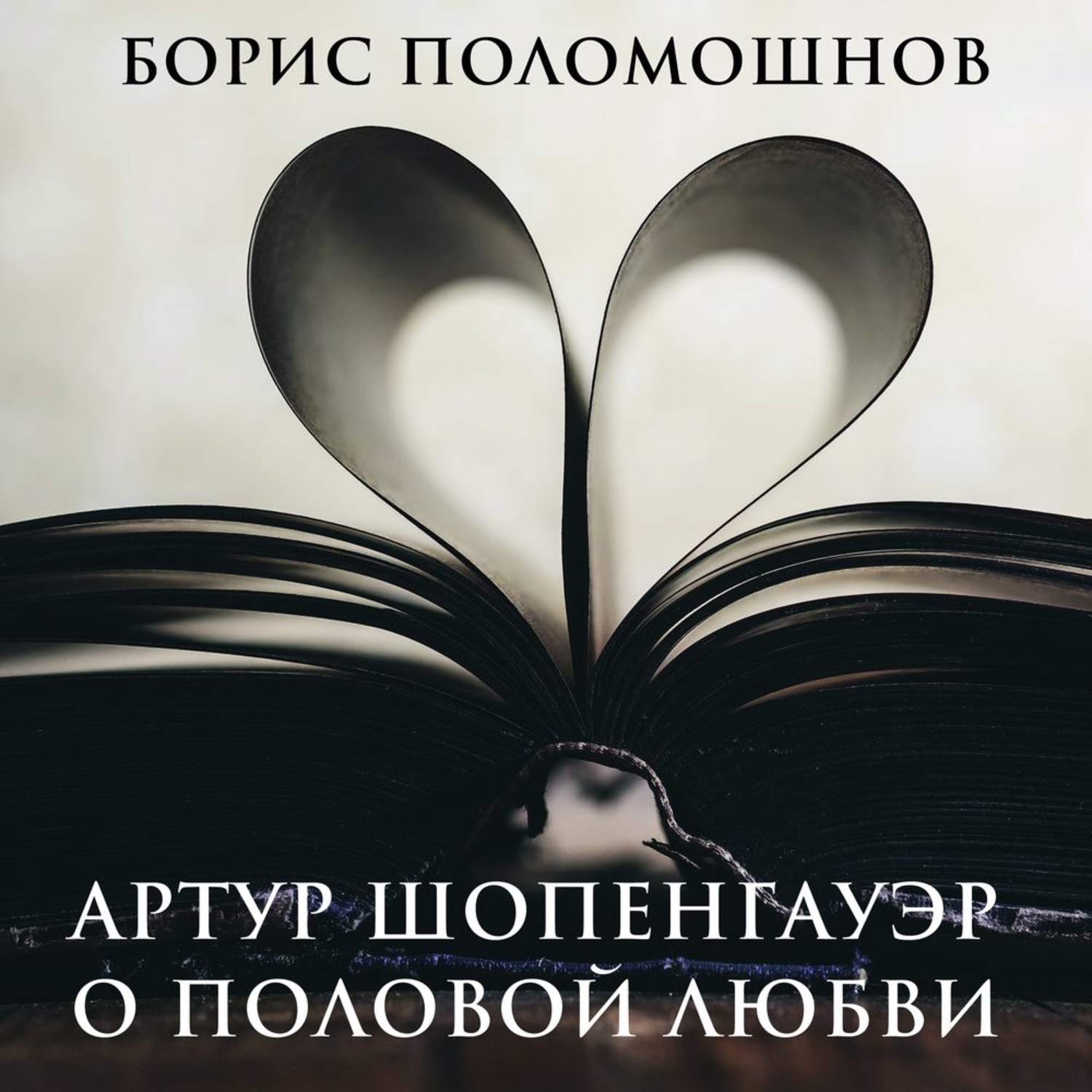 Обложка книги «Артур Шопенгауэр о половой любви»
