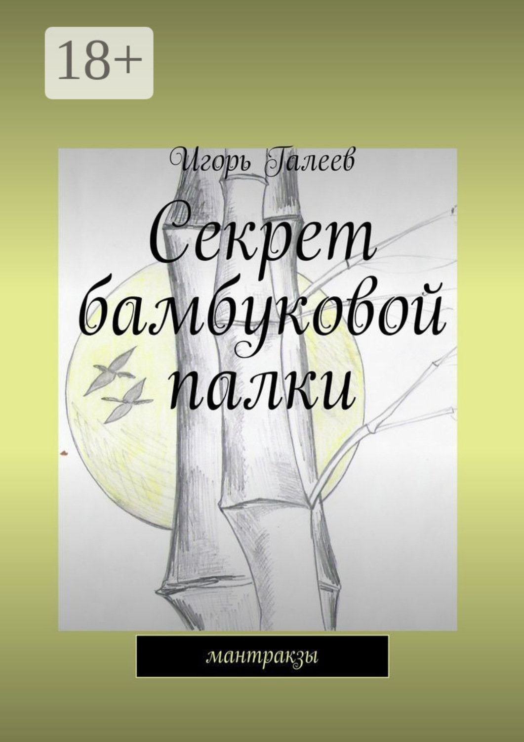 Обложка книги «Секрет бамбуковой палки. мантракзы»